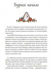 Тильда Яблочное Семечко. Чудесные истории из переулка, где растет шиповник - Фото 6