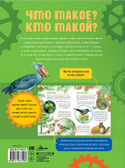 Что такое? Кто такой? - Фото 1