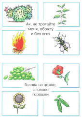Загадки в отгадках. Висит груша — нельзя скушать - Фото 4