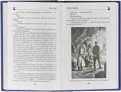 Гектор Сервадак. Вверх дном - Фото 3