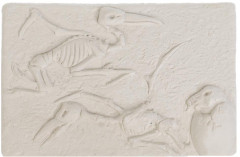 Набор игровой «Настоящие раскопки» - Фото 2