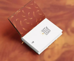 Топить в огне бушующем печали. Том 1 - Фото 3