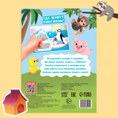 Кто где живёт? - Фото 4