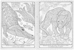 Раскраска «Удивительные джунгли» - Фото 2