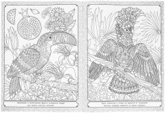 Раскраска «Удивительные джунгли» - Фото 3