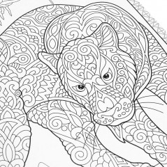 Раскраска «Удивительные джунгли» - Фото 4