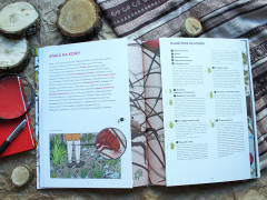 Живой мир под микроскопом - Фото 3