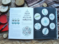 Живой мир под микроскопом - Фото 5