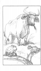 Басни - Фото 11