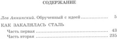 Как закалялась сталь - Фото 1