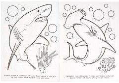 Раскраска «Подводный мир» - Фото 3