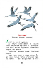 Рассказы о природе - Фото 5