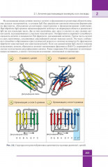 Иммунология. Атлас - Фото 8