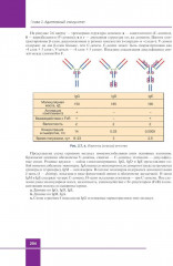 Иммунология. Атлас - Фото 9
