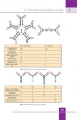 Иммунология. Атлас - Фото 10
