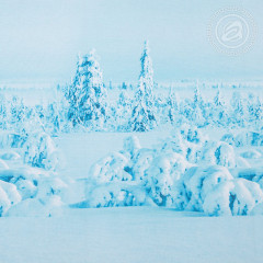 Комплект постельного белья «Символ удачи» - Фото 4