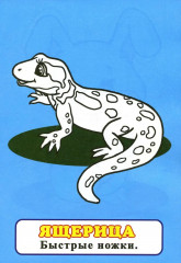 Щенок. Узнай и раскрась - Фото 3