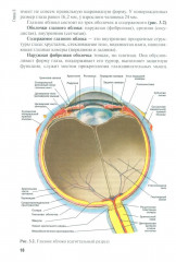 Диагностика и лечение пациентов офтальмологического профиля - Фото 9