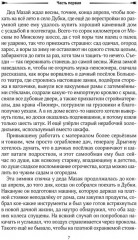 Удар «Молнии» - Фото 4