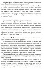 ЕГЭ 2025. 100 баллов. Русский язык: Самостоятельная подготовка к ЕГЭ - Фото 5