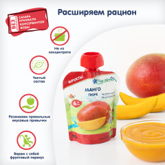 Пюре «Манго» - Фото 2