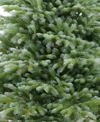 Новогодняя ель - Фото 1