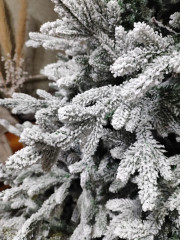 Новогодняя ель - Фото 2