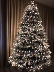 Новогодняя ель - Фото 5