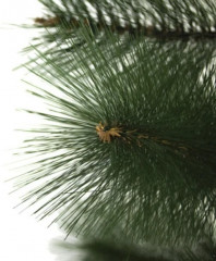 Новогодняя ель - Фото 1