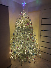 Новогодняя ель - Фото 1