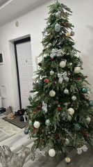 Новогодняя ель - Фото 6