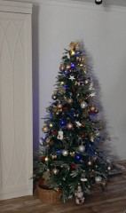 Новогодняя ель - Фото 5