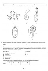 ЕГЭ 2025. Биология. 12 вариантов. Типовые варианты экзаменационных заданий - Фото 3