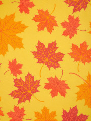 Комплект постельного белья «Чебурашка золотая осень» - Фото 5