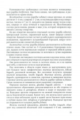 Диагностика, лечение и профилактика основных заболеваний и болевых синдромов языка - Фото 7