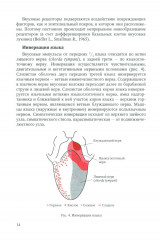 Диагностика, лечение и профилактика основных заболеваний и болевых синдромов языка - Фото 10