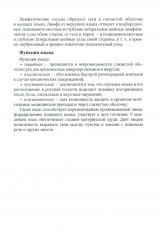 Диагностика, лечение и профилактика основных заболеваний и болевых синдромов языка - Фото 11