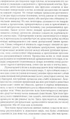 Половой вопрос. Любовь как извращение - Фото 4