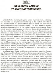 Microbiology, virology, immunology - Фото 6