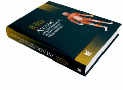 Атлас нормальной анатомии человека - Фото 2