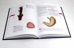 Атлас нормальной анатомии человека - Фото 3