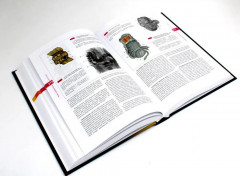 Атлас нормальной анатомии человека - Фото 4