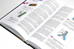 Атлас нормальной анатомии человека - Фото 7