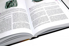 Атлас нормальной анатомии человека - Фото 8