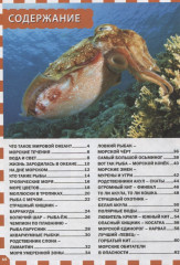 Морские обитатели. Детская энциклопедия - Фото 1