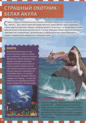 Морские обитатели. Детская энциклопедия - Фото 4