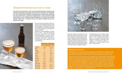 Beer Expert. Пиво. Идеальный путеводитель по сортам, видам, рецептам - Фото 5