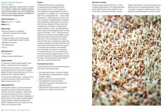 Beer Expert. Пиво. Идеальный путеводитель по сортам, видам, рецептам - Фото 7