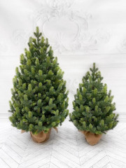 Ель искусственная в мешочке премиум «Кремлевская» - Фото 4