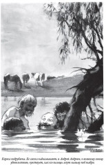 Рассказы - Фото 8